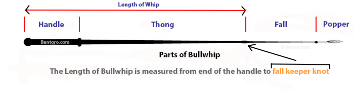 Whip Size Guide