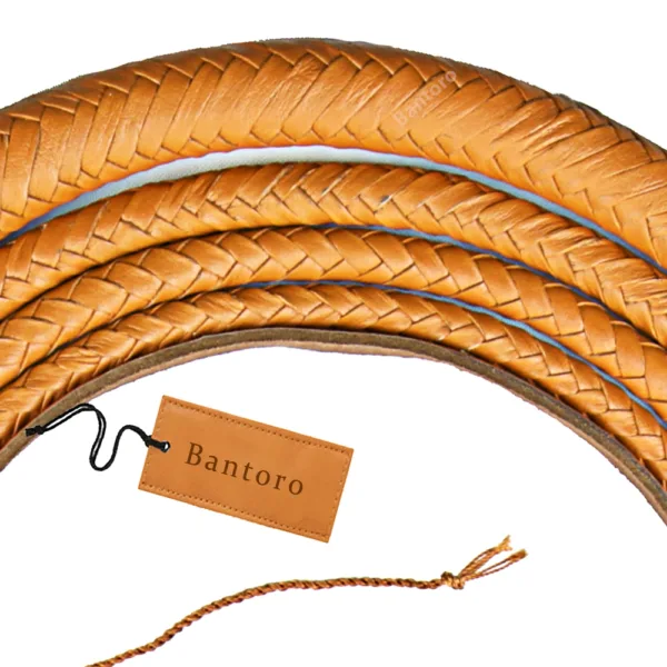 16 plait bullwhip