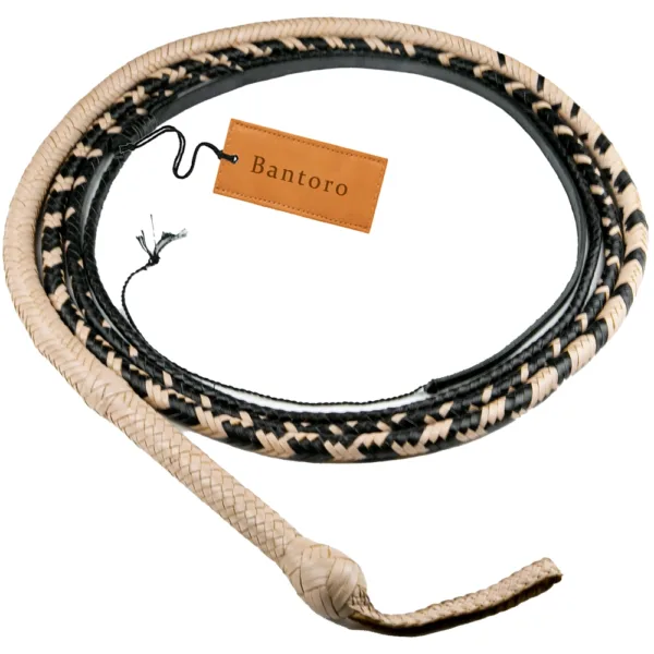 bullwhip with cracker