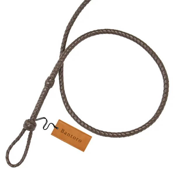 mini bullwhip