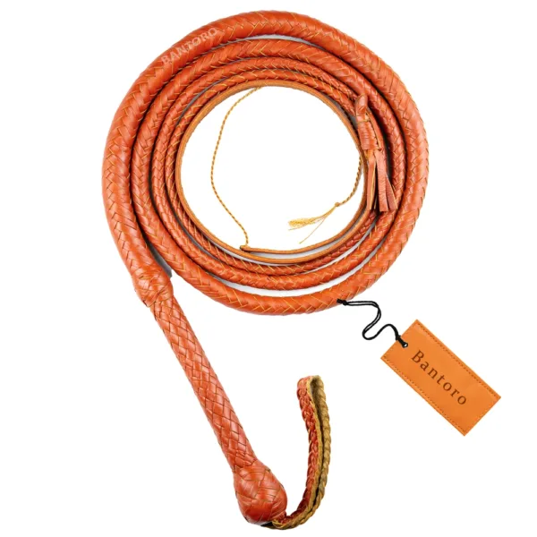 bullwhip with cracker