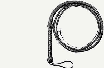 leather bullwhips products