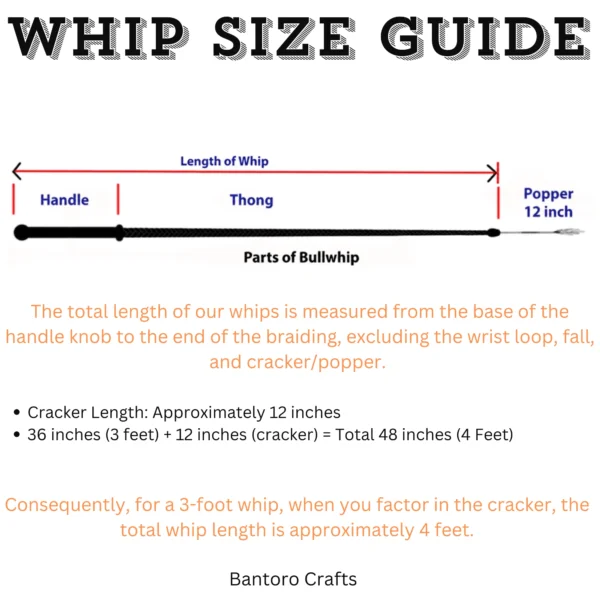 Bullwhip measurement guide showing the handle, thong, and 12-inch cracker with an explanation of overall whip length.