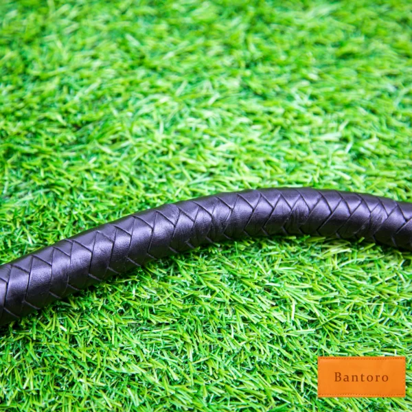 leather bdsm crop flexible curve showing leather texture and bend