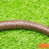leather flogger brown flexible curved body leather detail