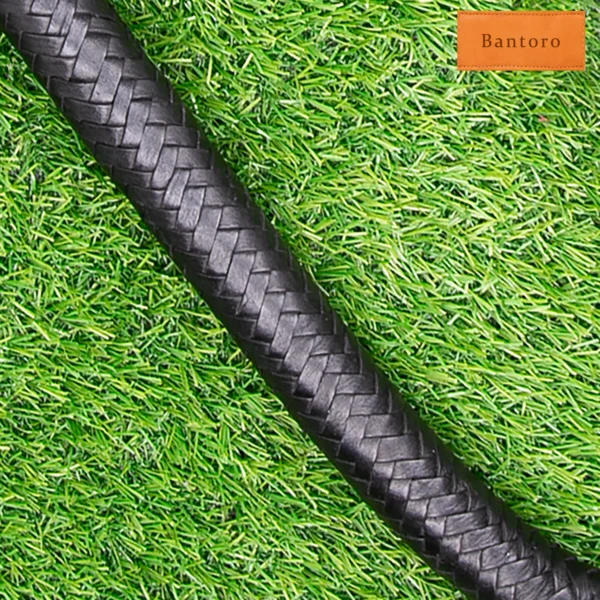 leather single tail flogger braided body texture close up