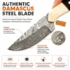 Damascus Hunting Knife decorative layered Damascus steel blade close-up view