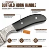 Damascus Steel Hunting Knife with polished buffalo horn handle close-up