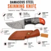 Damascus Steel Skinning Knife with horn handle and leather sheath feature overview