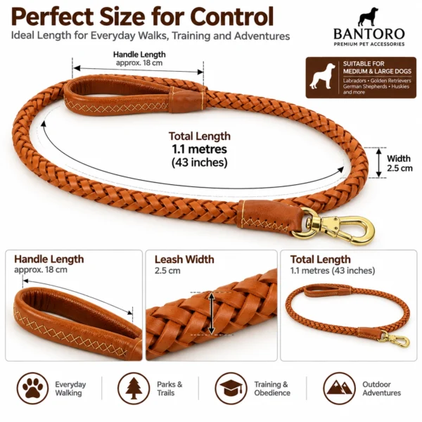 Braided leather dog leash measuring 1.1m long and 2.5cm wide with approximately 18cm padded handle