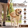 Braided leather dog leash used with a Labrador outdoors, showing the padded handle and tan cowhide lead during walking
