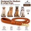 Braided leather dog leash for medium and large dogs including Labradors, Golden Retrievers, German Shepherds and Huskies