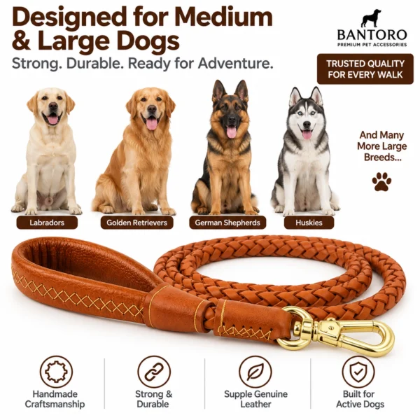 Braided leather dog leash for medium and large dogs including Labradors, Golden Retrievers, German Shepherds and Huskies