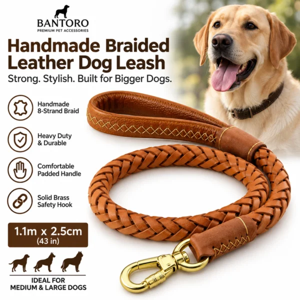Braided leather dog leash for medium and large dogs with handmade 8-strand cowhide braid, padded handle and brass safety hook
