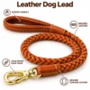 Braided leather dog leash in light tan brown cowhide with padded handle, 8-strand braid and solid brass snap hook