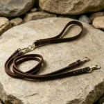 Double dog leash with brown leather handle, detachable coupler leads and brass swivel fittings