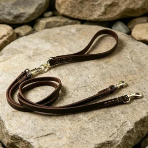 Double dog leash with brown leather handle, detachable coupler leads and brass swivel fittings
